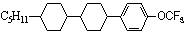 永信贵宾会·(中国)诚信为本